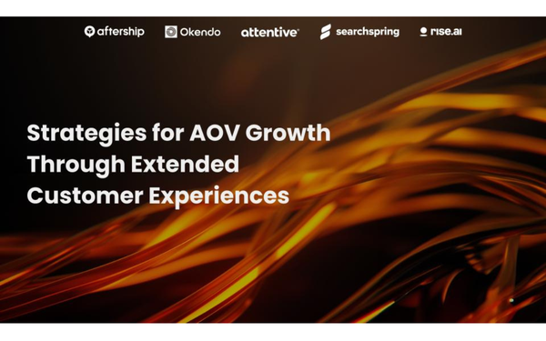 Strategies for AOV Growth Through Extended Customer Experiences [Webinar Recap]